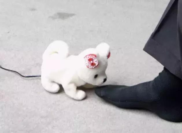 5大奇葩发明 不得不被日本人的脑洞折服