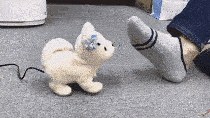 5大奇葩发明 不得不被日本人的脑洞折服