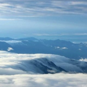 ׿׼ҶƬSR220ҶƬ